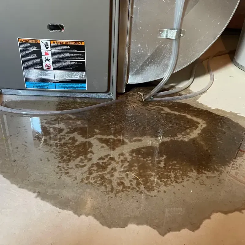 Appliance Leak Cleanup in Phenix City, AL